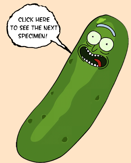 Pickle Rick Push Me Button to discover more specimen